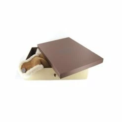 UGG Idées Cadeaux Bailey Aviator -accessoires-chaussures Soldes bailey aviator 4